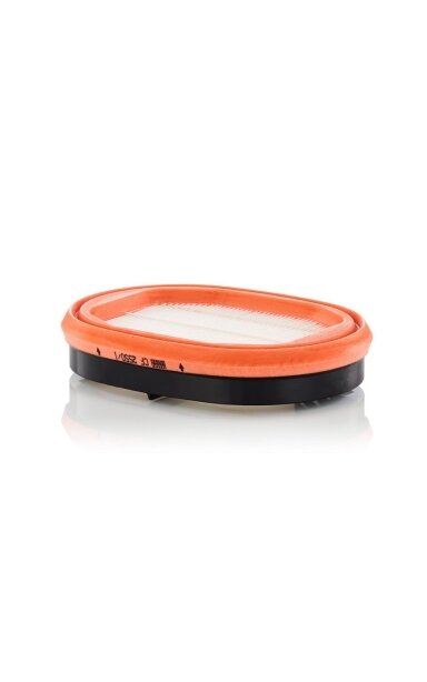 Antrinis oro filtras MANN-FILTER