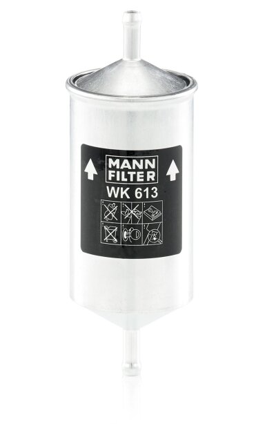Benzino filtras MANN-FILTER