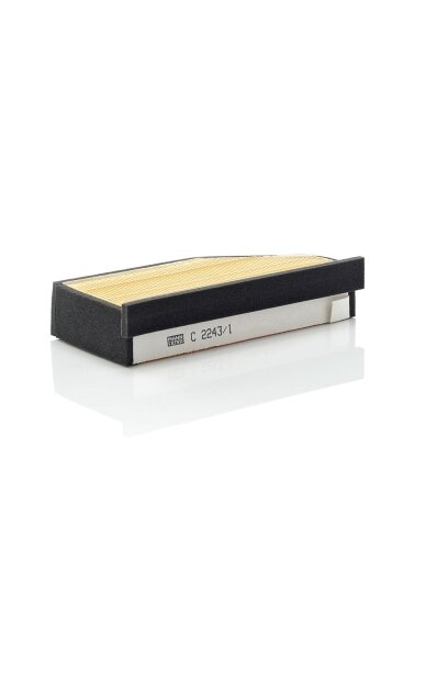 Oro filtras MANN-FILTER Oro filtras MANN-FILTER